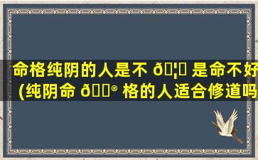 命格纯阴的人是不 🦍 是命不好(纯阴命 💮 格的人适合修道吗)